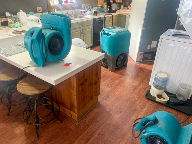 Best Mold removal after water damage  in Summit Hill, PA