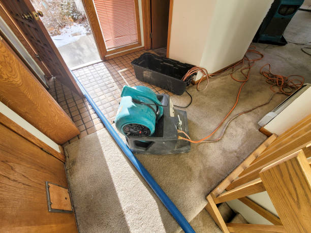 Best Carpet water damage restoration  in Summit Hill, PA