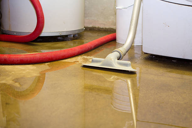 Best Flood damage cleanup  in Summit Hill, PA