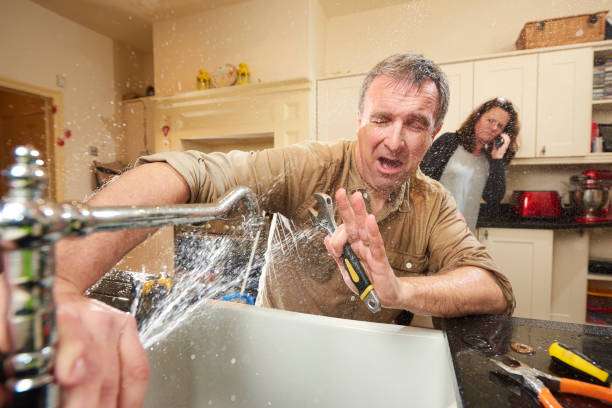 Best Water damage cleanup near me  in Summit Hill, PA